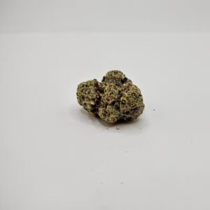 Pinata 14g Flower- Bold